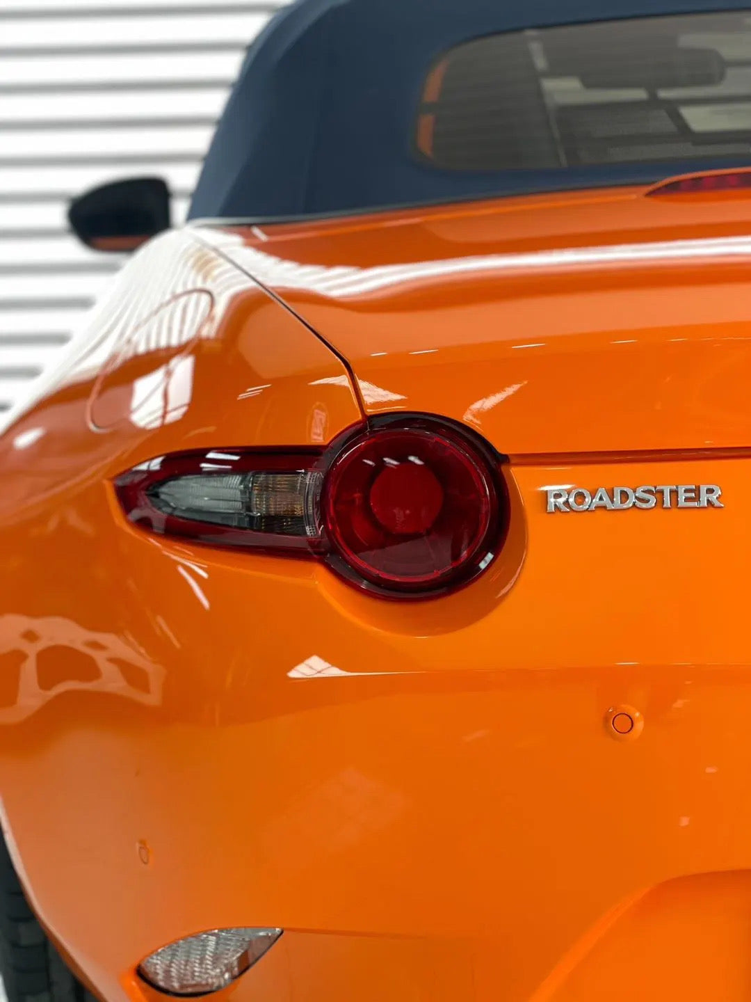 Sunny Orange