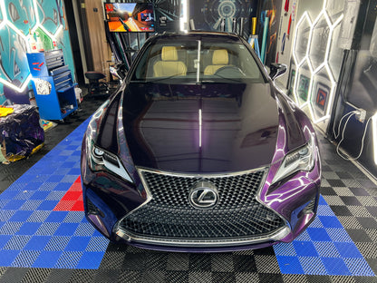 Midnight Purple