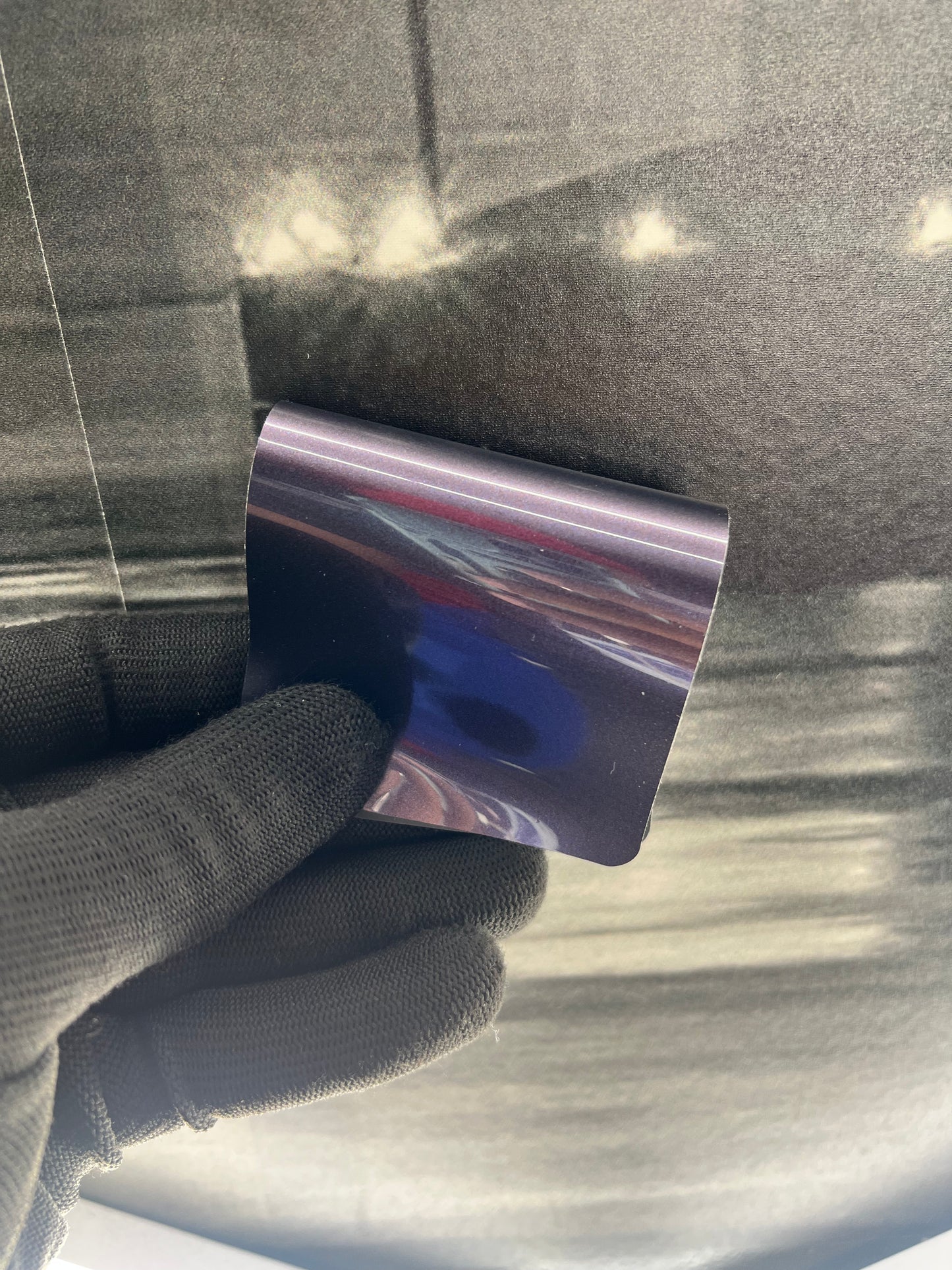 Violet Grey