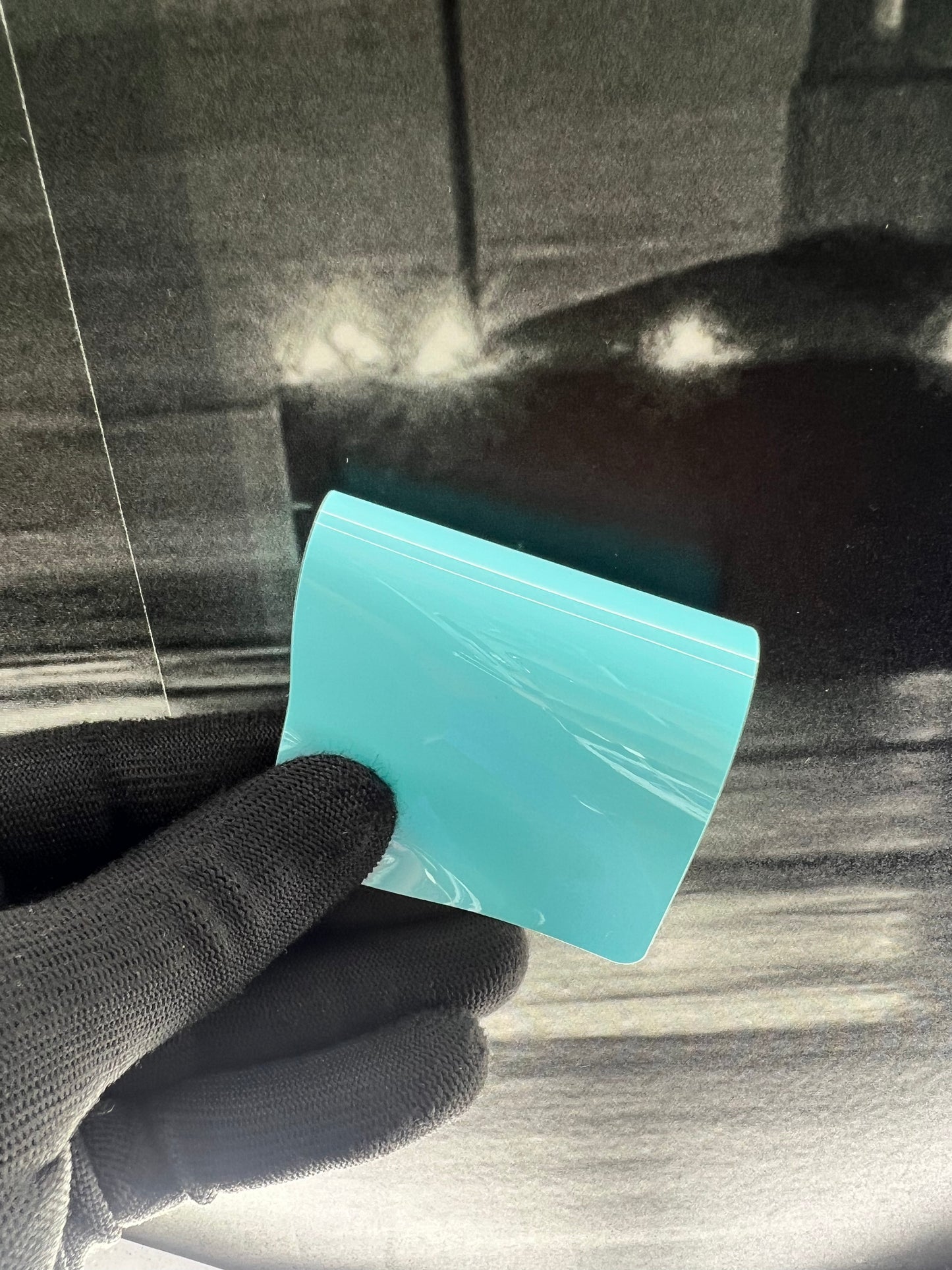 Tanager Blue
