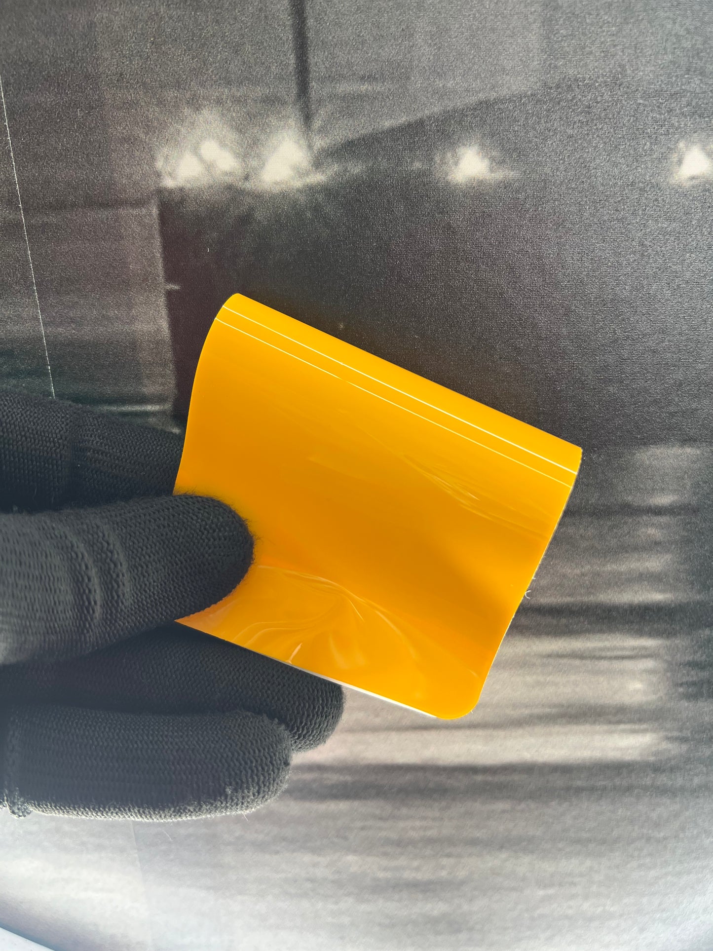 Sunflower Yellow